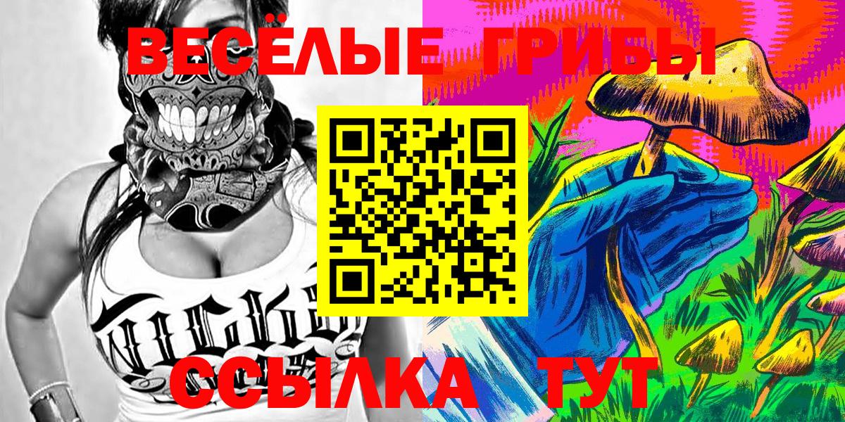 Псилоцибиновые грибы GOLDEN TEACHER Зима